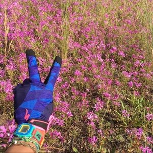 Meet your Posher, El